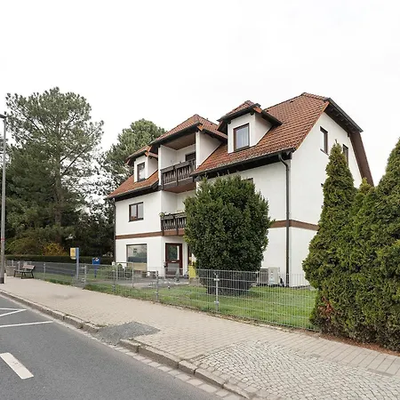 Linie 8